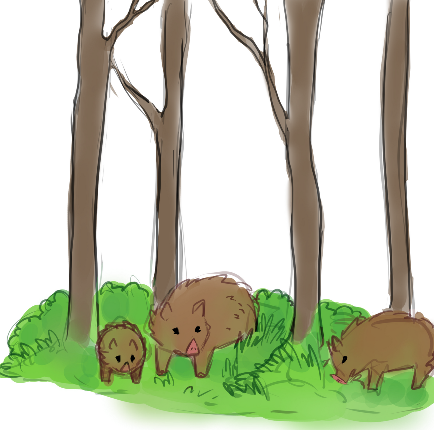 Pig/Swine - Animal Profile (Digital)