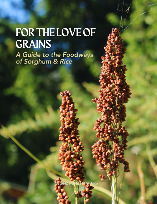 For the Love of Grains: A Guide to the Foodways of Sorghum & Rice