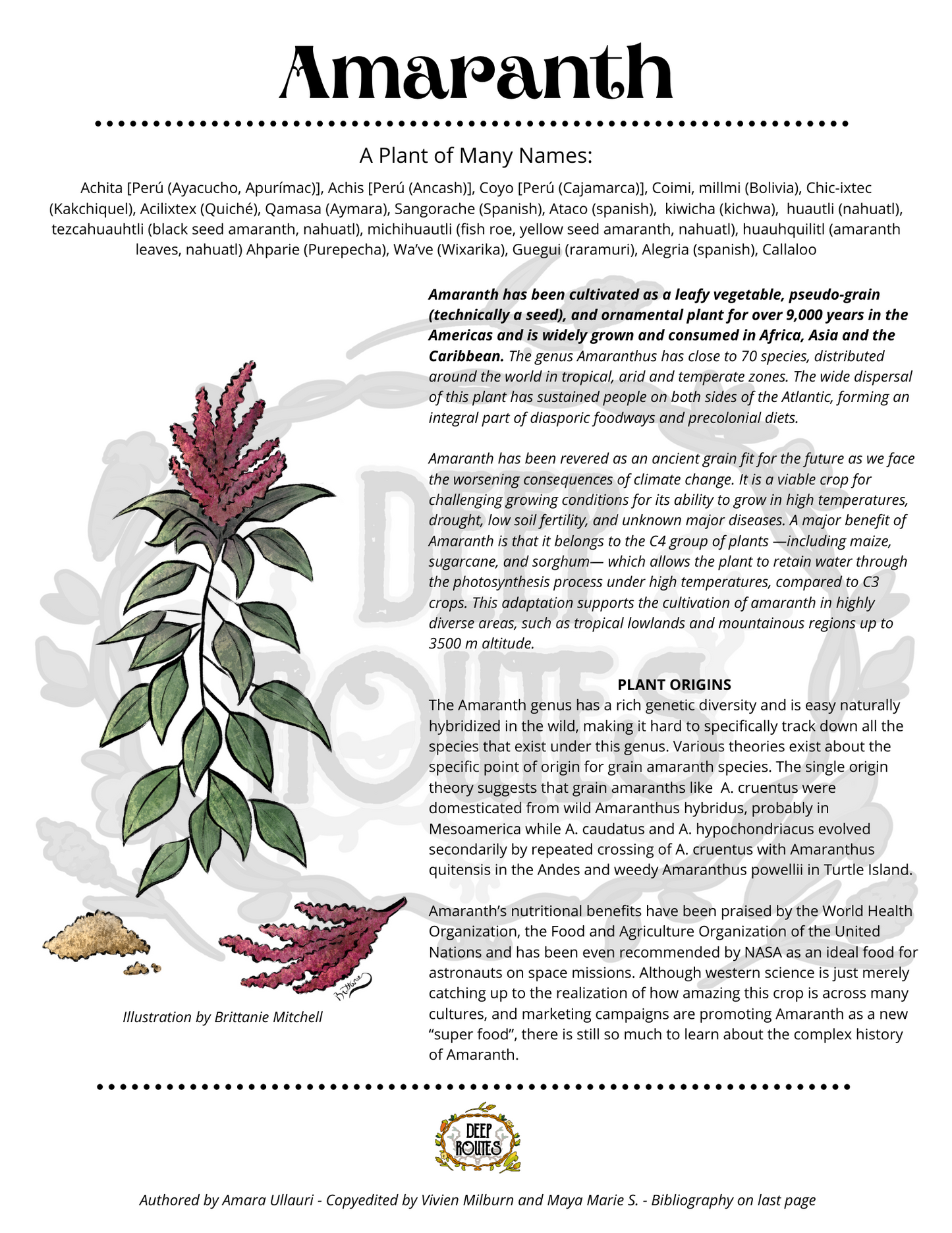 Amaranth Plant Profile (Digital)