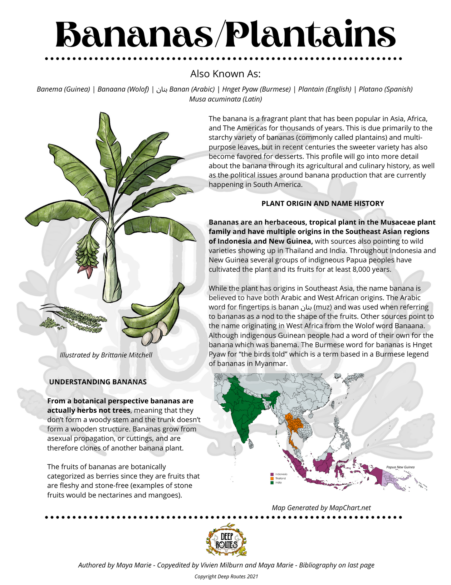 Bananas & Plantain Plant Profile (Digital)