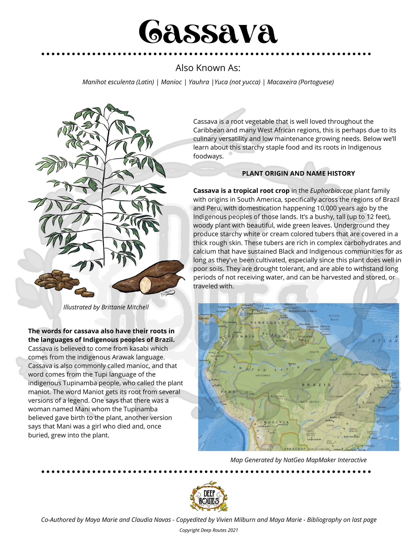 Cassava Plant Profile (Digital)