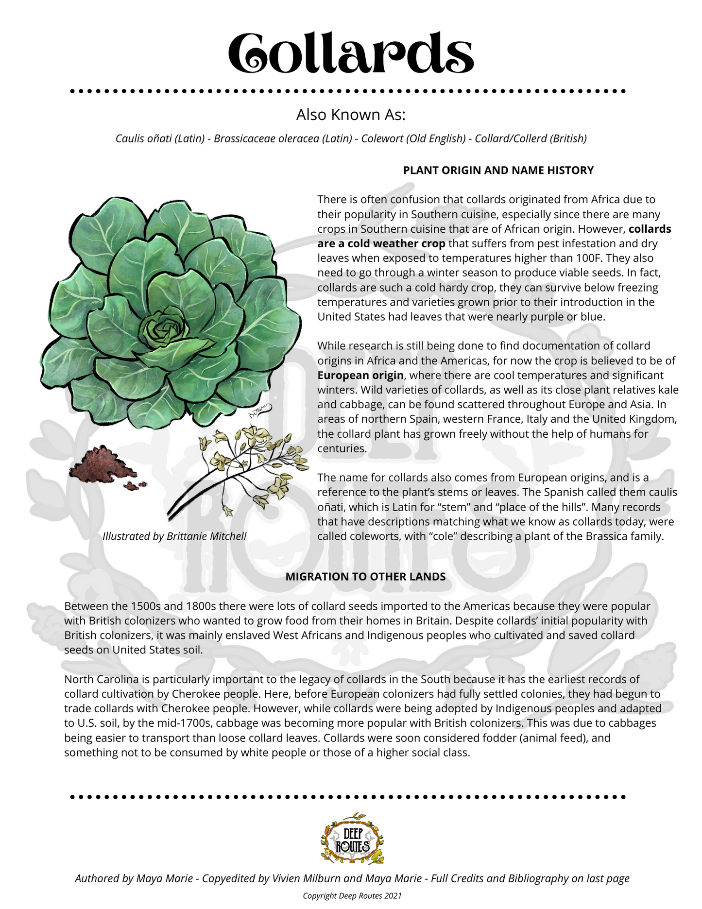 Collards Plant Profile (Digital)