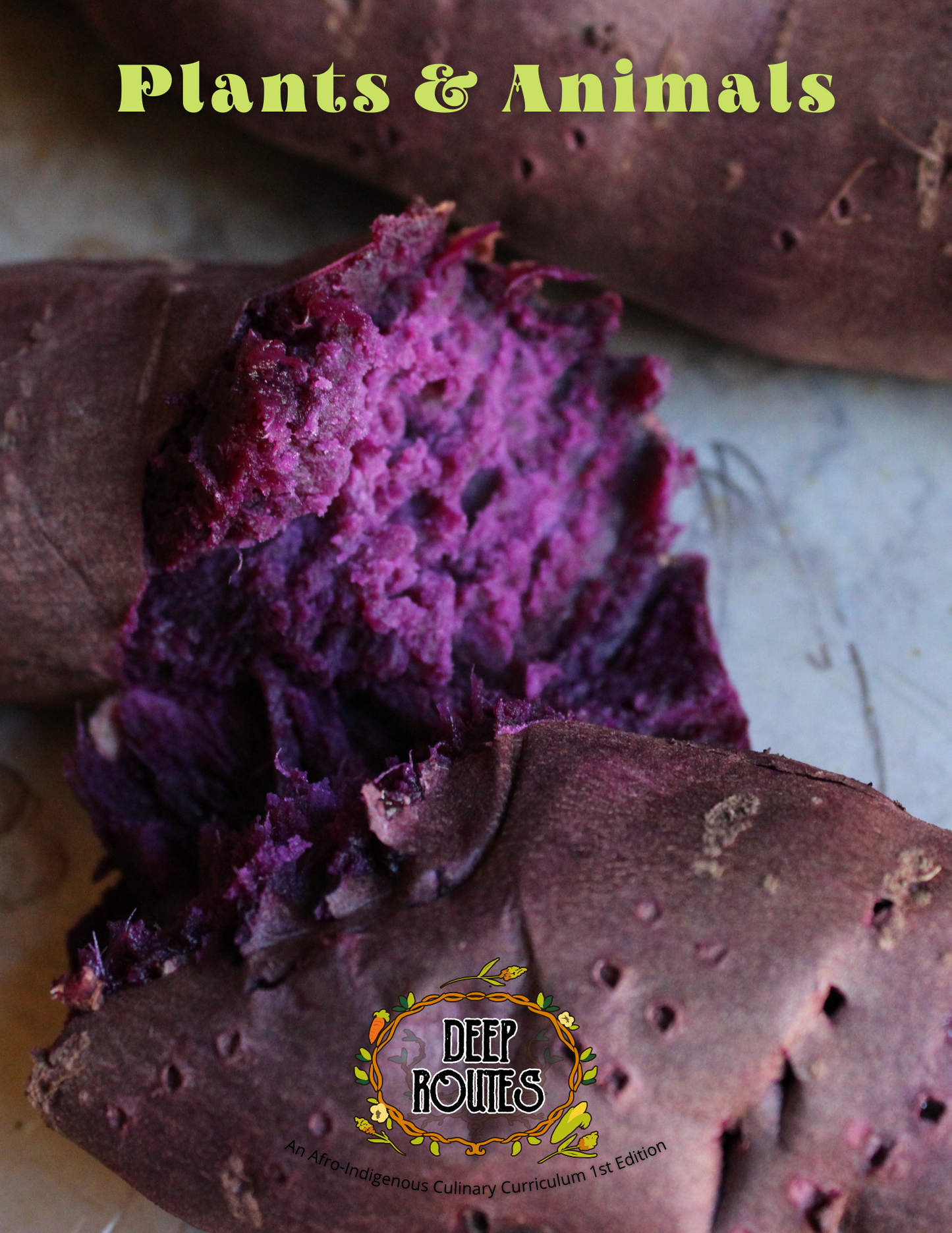 Plants and animals cover with a close up shot of a purple sweet potato.